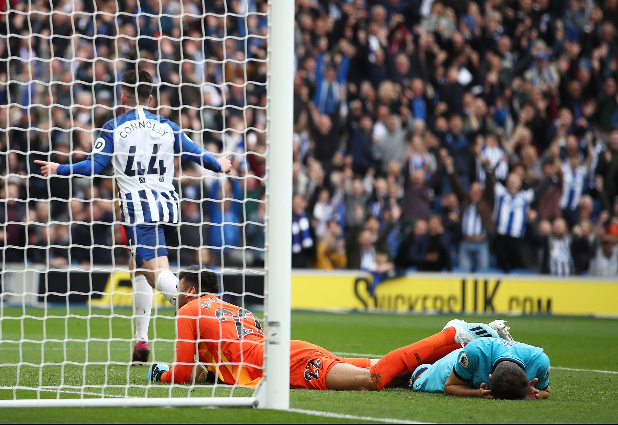 的成败还取 的成败还取