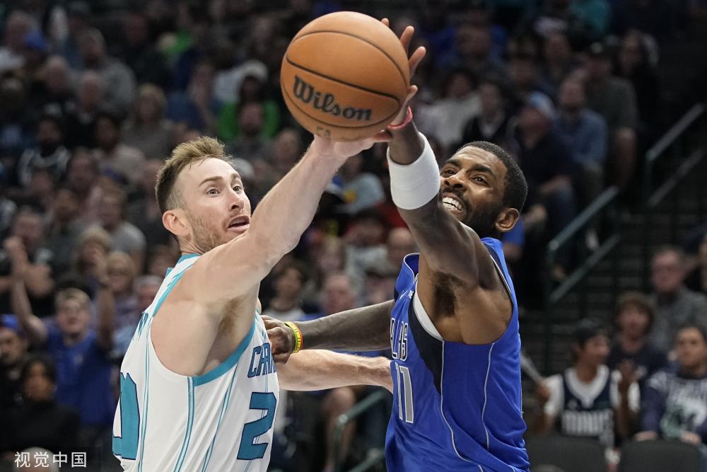 稳定和多样 稳定和多样